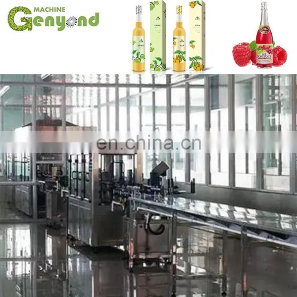 Small Fruit Wine Making Machine photo-4