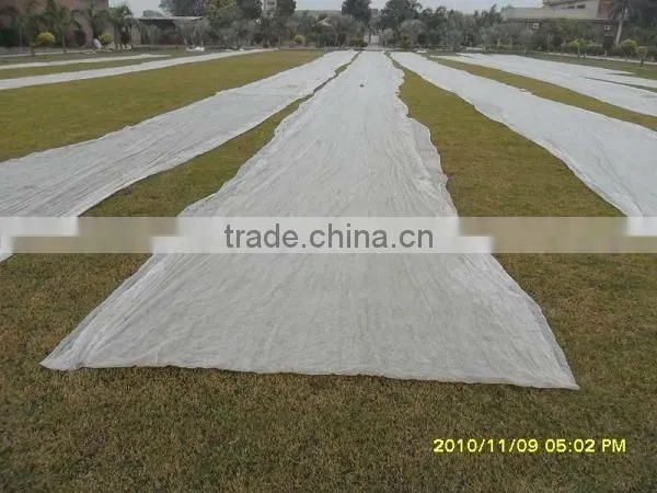 PP Agriculture Non-woven Crop Cover Factory photo-5