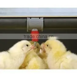 Poultry Probiotics SUKAFEED-W.Gain Quality Probiotics for Poultry