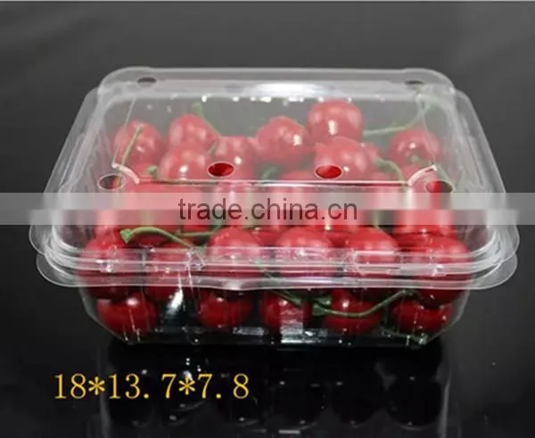 PVC Plastic Packaging Container for Tomatos photo-2