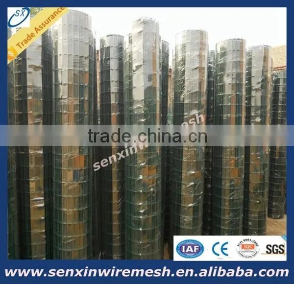 China Manufacturer Galvanized Welded Wire Mesh Panel or Roll , Pvc Coated Welded Wire Mesh photo-2