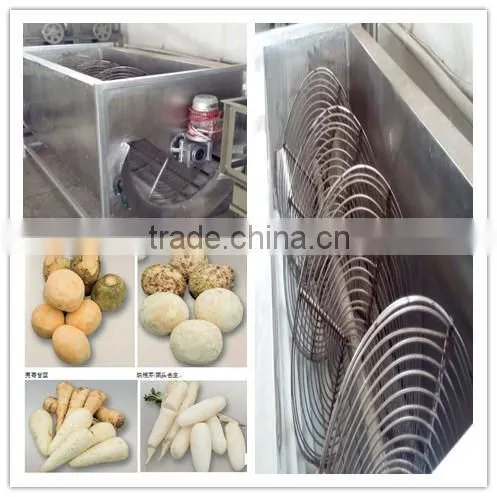 Hotasle Cassava Peeling Machine l Cassava Peeler for Cassava Flour Processing Line photo-3