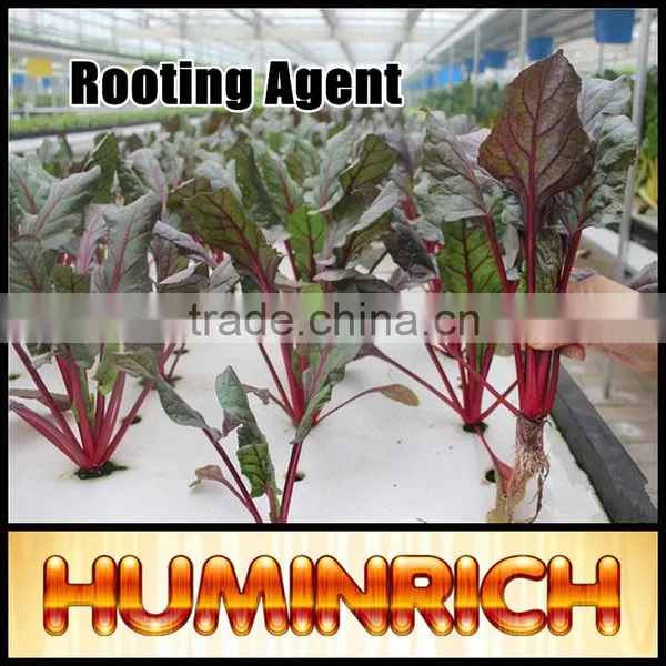FAQ 16--How To Use The Potassium Humate Fulvate Fertilizer As A Rooting Agent? photo-2