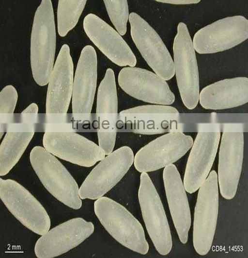 Enriched Rice Processing Machine photo-2