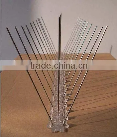 Bird Spikes
