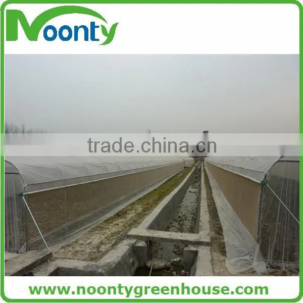 Economical Tunnel Greenhouse photo-6