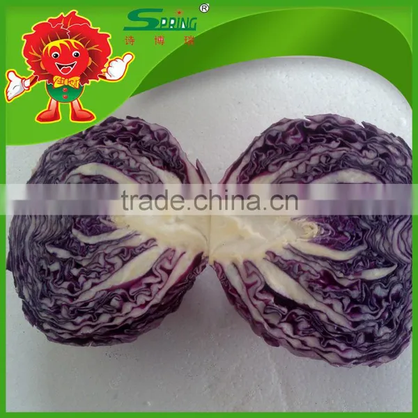 2016 Fresh Purple Cabbage Chinese Organic Cabbage photo-2