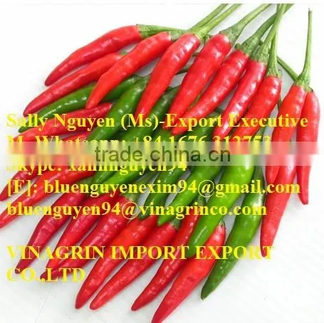 VIETNAM FRESH CHILLI