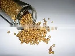Coriander Seed photo-2