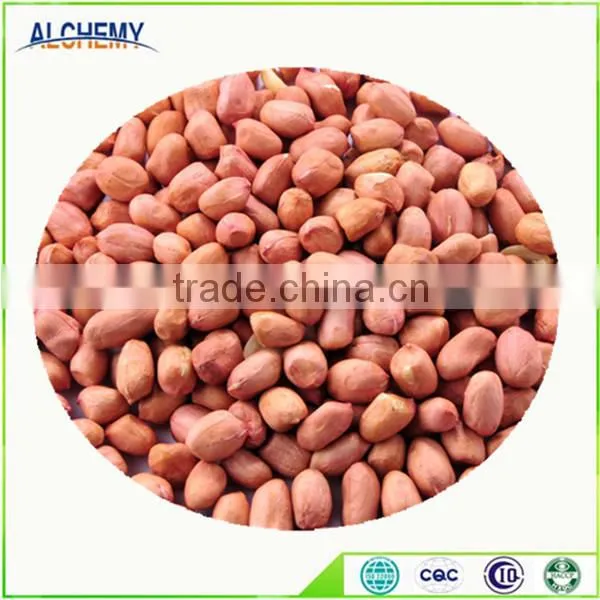 Best Peanuts With Top Grade From China photo-3