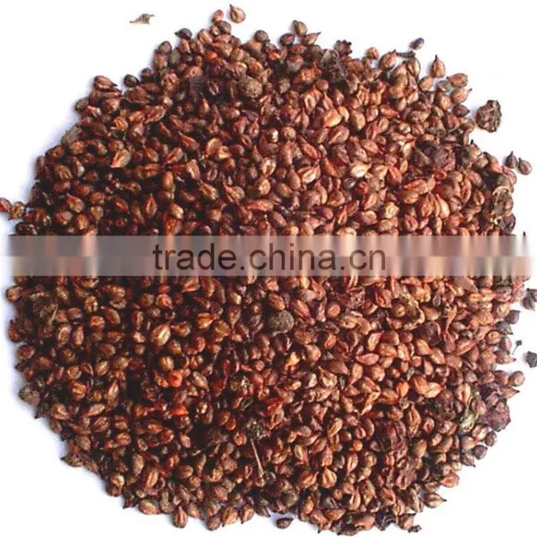 Manufactory Supplier of 95% OPC Grape Seed Extract photo-3