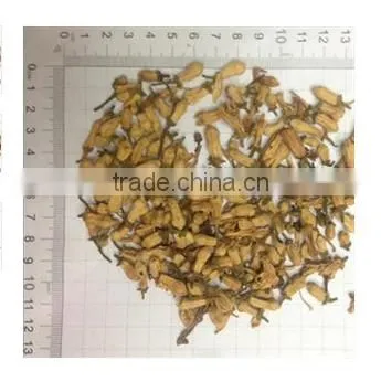 High Quanlity Citrus Aurantium L.