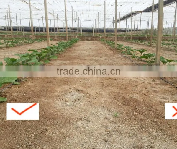 Chinese Biggest Supplier Agrolink Humate 70ha+15fa+14k2o Folibor Boron Fertilizers photo-5
