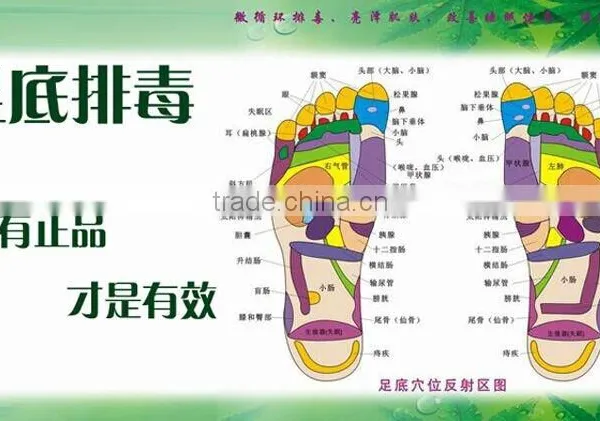 OEM Detox Foot Patch Origal Factory(CE Approved) photo-2