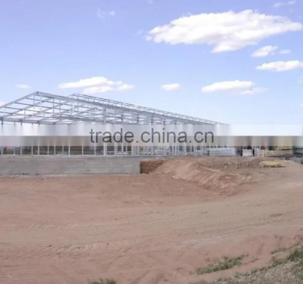 Steel Structure Chicken Shed /environmental Control Steel House photo-6