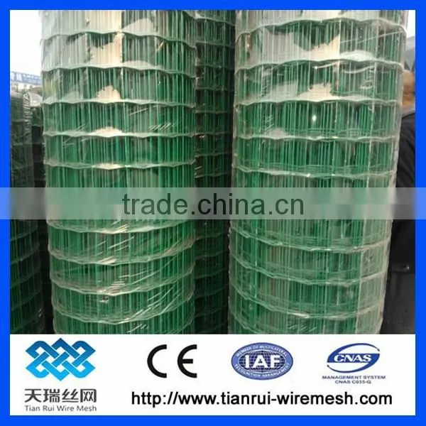 PVC Coated Holland Wire Mesh Fence Manufacturer&Exporter photo-3