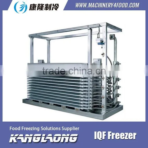 High Quality Mini IQF Freezer With Great Price photo-4