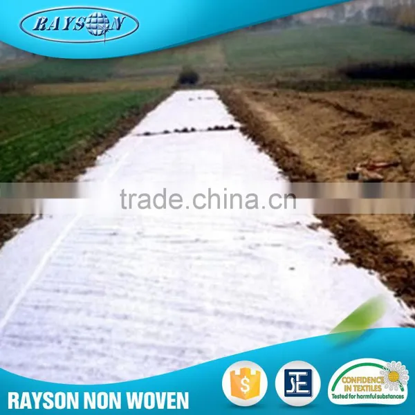New Product Landscaping Agricultural Pp Spunbond Non Woven Fabric photo-2
