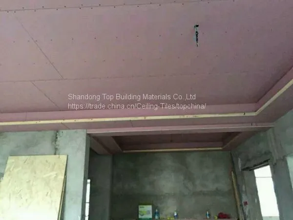 Fire-proof Gypsum Board
