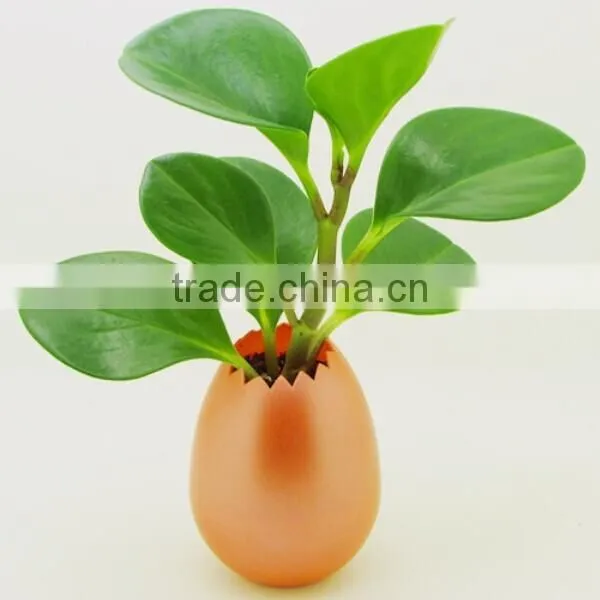 2015 Novelty Garden Flower Pot photo-5