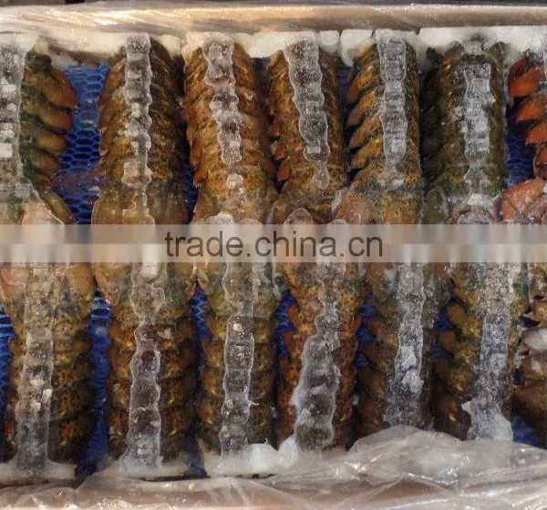 Lobster Tails photo-2