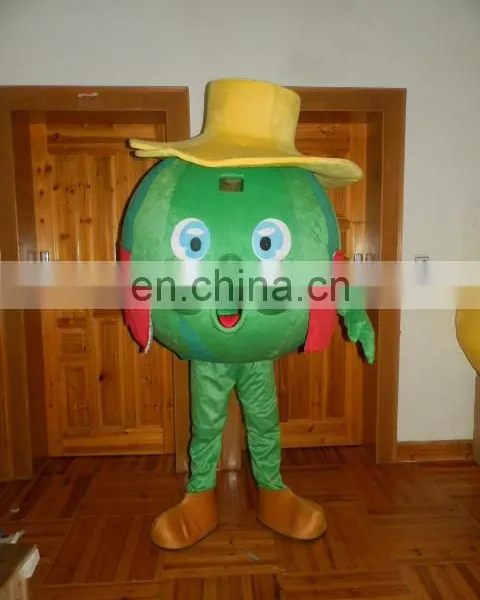 HOT Promotional Customized Fruit Advertising Costume for Adult Wearing photo-2