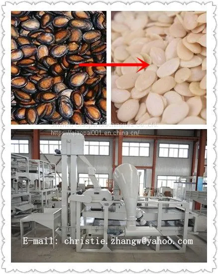 PUMPKIN SEEDS DEHULLING&SEPARATING EQUIPMENT