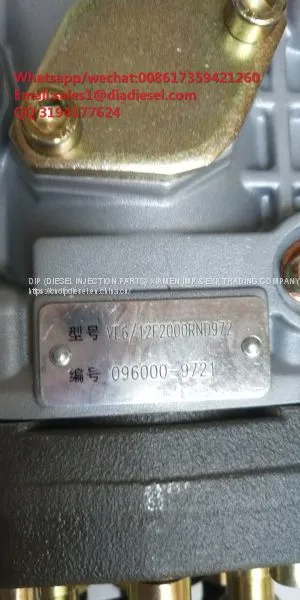 High Quality Diesel Fuel VE Pump 096000-9721 096000 9721 for Sale photo-4