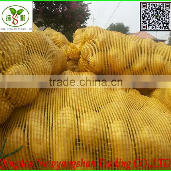 (CHINA) Red Dried Fresh Onion /Fresh Onion photo-5