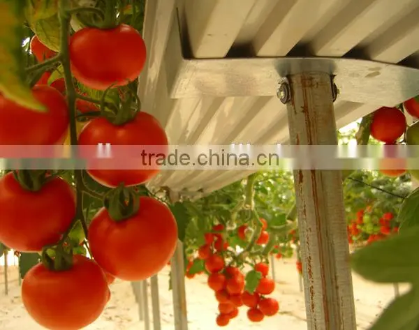PVC Soilless Growing Troughing System photo-5