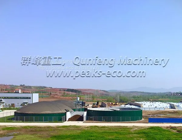 Biogas Energy Plant & AD(Anaerobic Digestion) Plant Waste Solution Project Anaerobic Digestion System photo-3