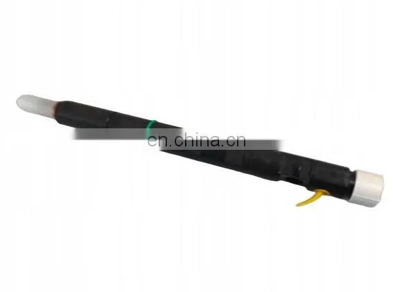 Fuel Injector Del-phi Original In Stock Common Rail Injector EMBR00301D photo-5