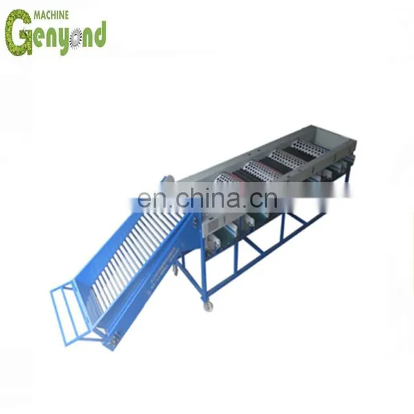 1T Grading Machine for Olives photo-5