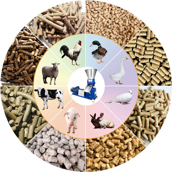 Looking for an Efficient Animal Feed Pellet Mill? photo-3