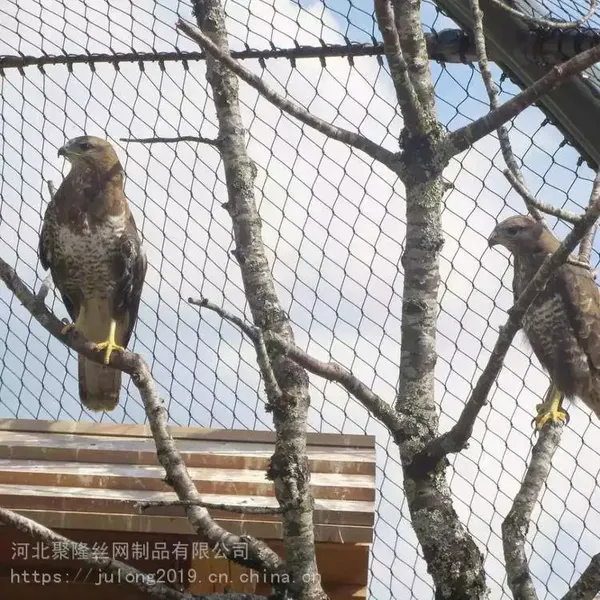 Zoo-Grade Aviary Netting With Anti-Entanglement Design for Large Birds photo-5