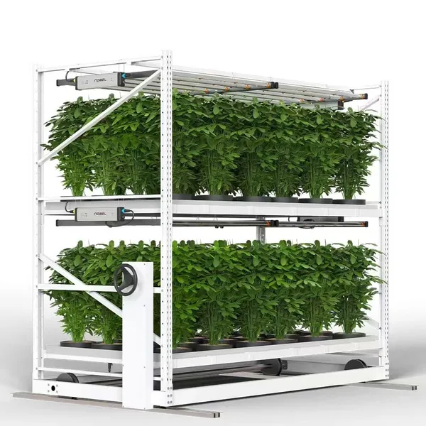 Multi-layer Seedbed Nursery Rack Planting Rack Tidal Seedbed Greenhouse Seedbed Multi-tier Planting Racks