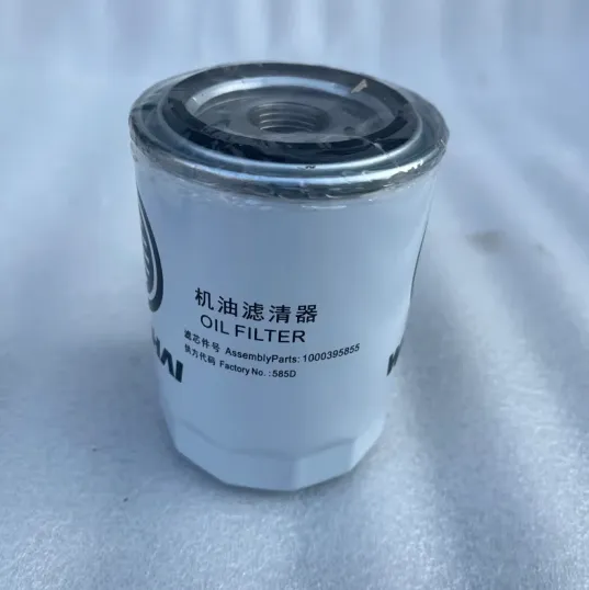 Hot Selling High Quality Fuel Filters 1000395855 Oil Filter for Wei Chai Top Construction Machinery Parts photo-3