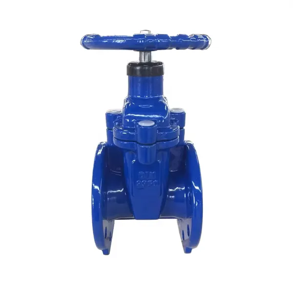 DIN DN100 PN16 Cast Iron GG25 GGG50 Ductile Iron GGG40 Gate Valve Non-Rising Stem EPDM Soft Seal Gate Valve photo-2