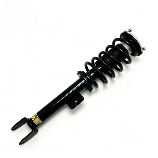 Hydraulic Shock Absorber Assembly for Tesla Model 3 (2017-2023) Model Y 2020-2024 RWD