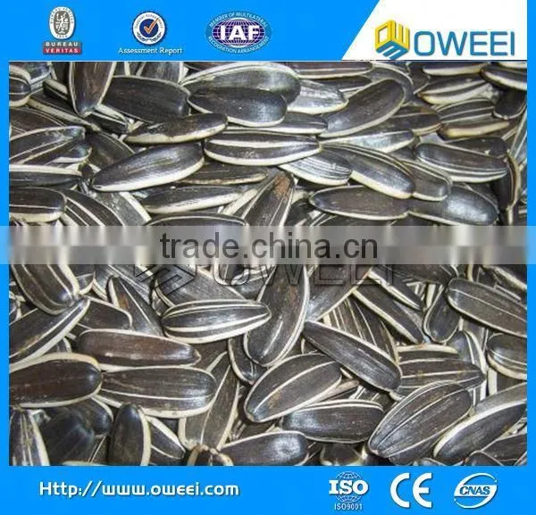 Sunflower Seed Dehulling and Separating Machine photo-6