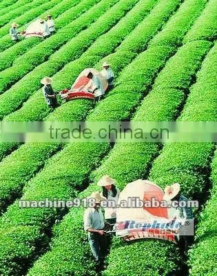 diesel engine drive tea leaf trimmer