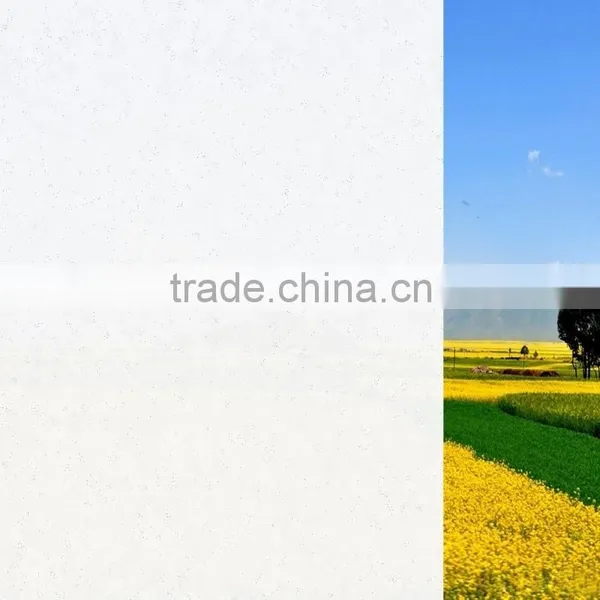 Building Glass Film Light Diffusing Window Film photo-6