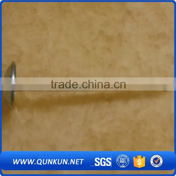 Galvanized Umbrella Coil Roofing Nails photo-5