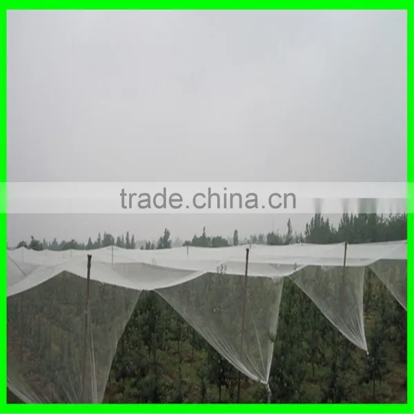 Anti Hail Net,hail Protection Net for Fruit Plantations Apple Tree photo-3