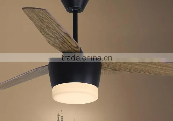 North European Style Ceiling Fan Light photo-2