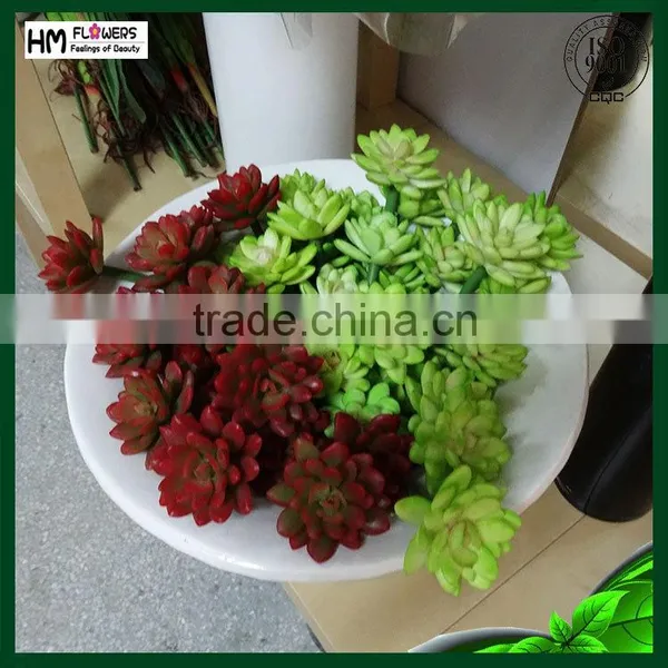 Artificial Plants Succulent Plant
