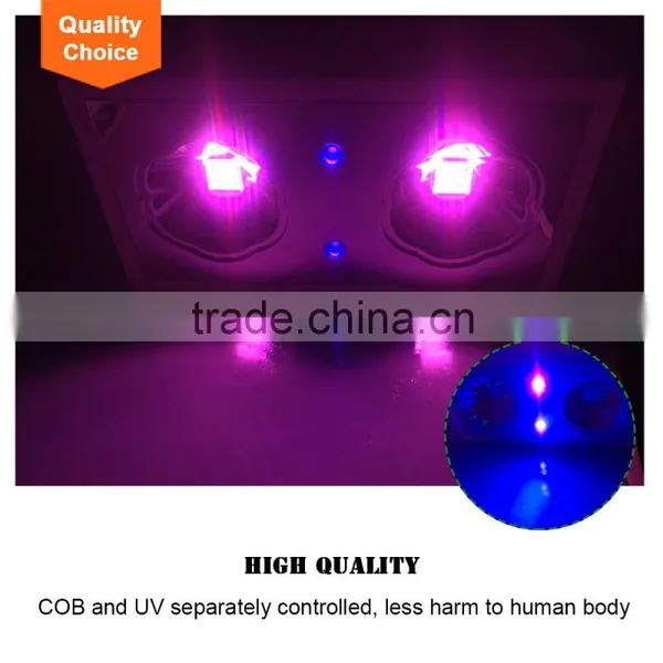 Hydroponic Grow Systems Dropship Succulent Plants COB LED Grow Light photo-2
