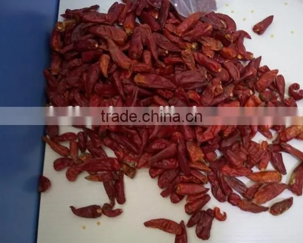 Dry Red Chili With High Quality photo-4