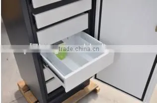 Made in China Good Quality Fire Resistant Filing Cabinet of Office Desk photo-3