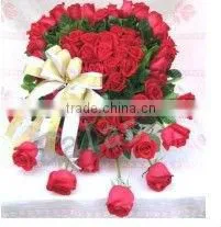 Gift Ribbon Printing Machine photo-2